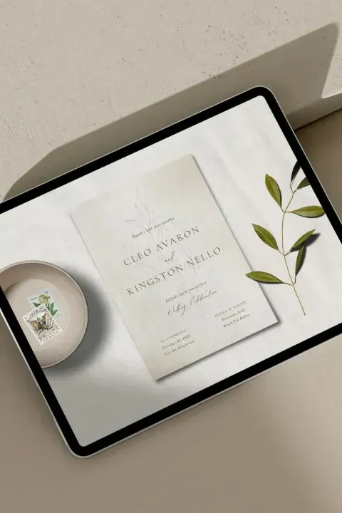 The 6 Best Digital Wedding Invitations to Invite Your Guests in Style