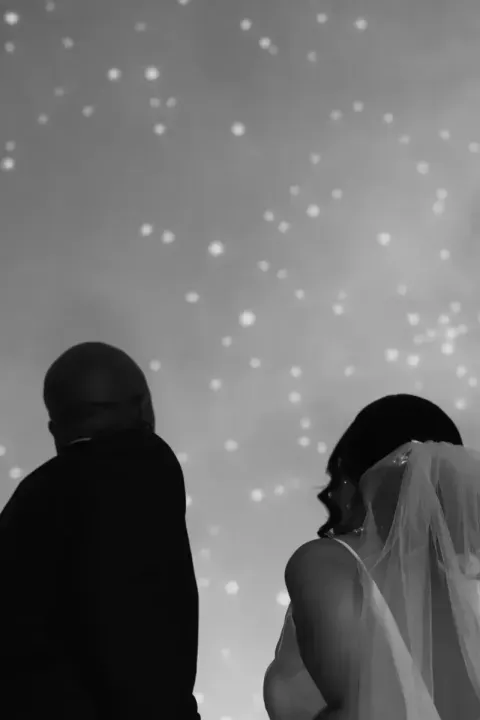 Wish Upon a Wedding: An Introduction