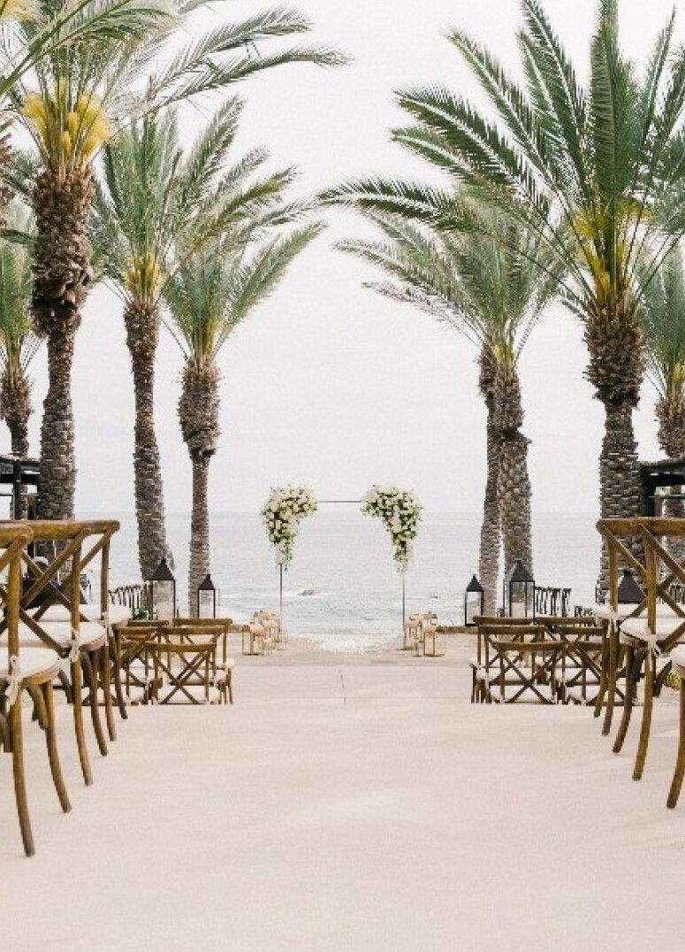 Adding custom imagery of wedding venues, like these palm trees, gives wedding websites a personal touch 