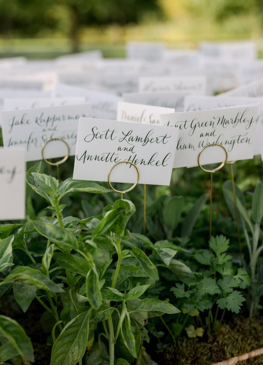 Calligraphed escort cards were perched in a bed of herbs at an elevated garden wedding.