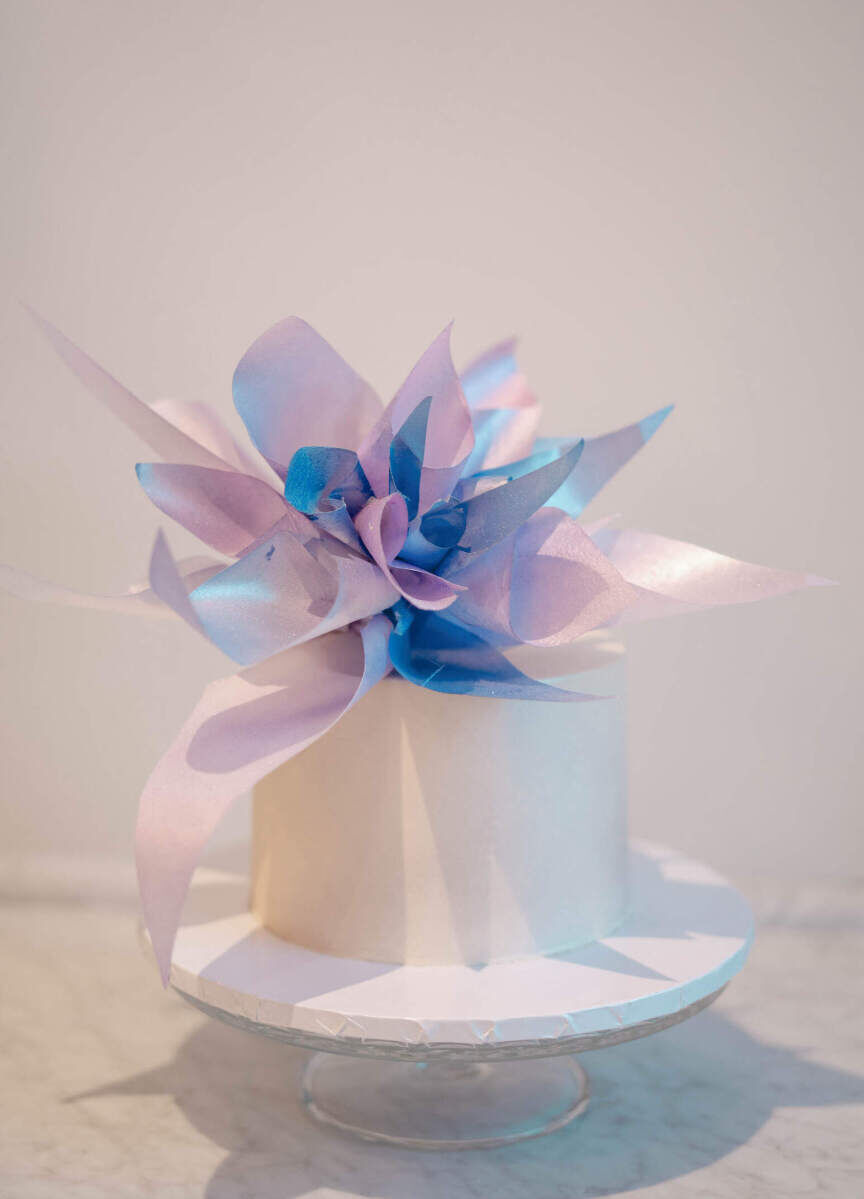 Elopement Wedding Cake: A single-tier wedding cake with iridescent decoration.