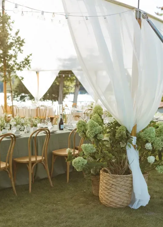 A billowy outdoor tent with a basket of green hydrangeas, and long rectangular reception tables with wooden chairs and green tablecloths.