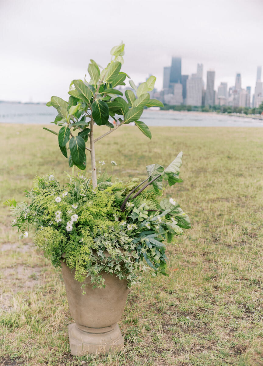 A ficus Audrey tree surrounded by additional greenery was a focal point of an enchanted waterfront wedding in Chicago.