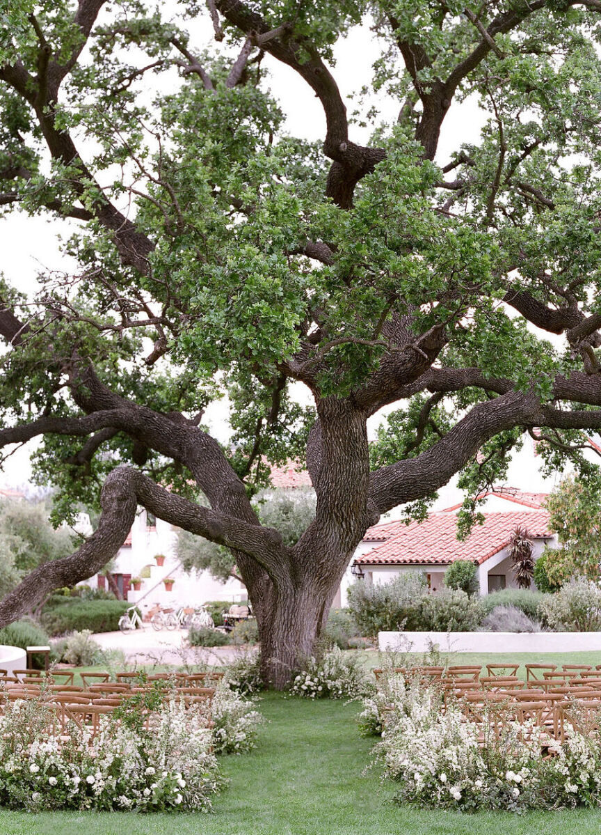 Wedding Venues in California: An oversized tree at the end of an outdoor ceremony setup lined with floral arrangements in Ojai.