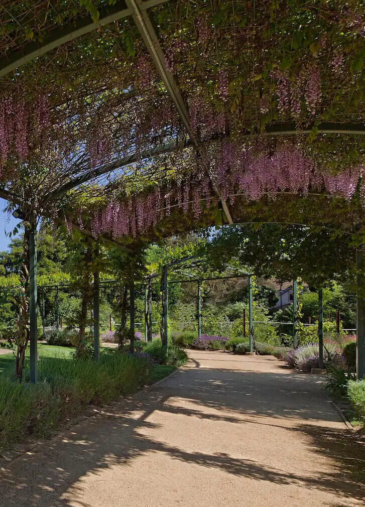 Wedding Venues in California: A terrace area covered in greenery in Sonoma Valley, California.