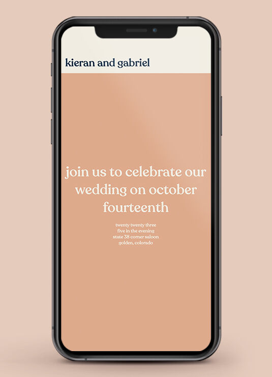 Wedding Website Examples: A mobile display of a light pink and navy wedding website.