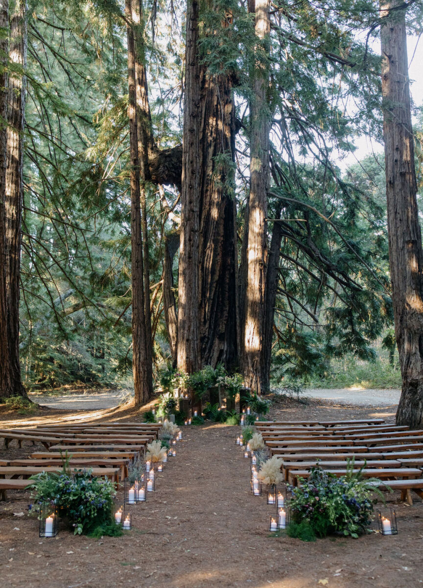 Wedding Website Examples: An outdoor ceremony with wooden benches in the middle of a forest.