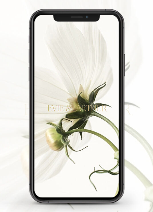 Wedding Website Examples: A mobile display of a wedding website with an oversize white flower.