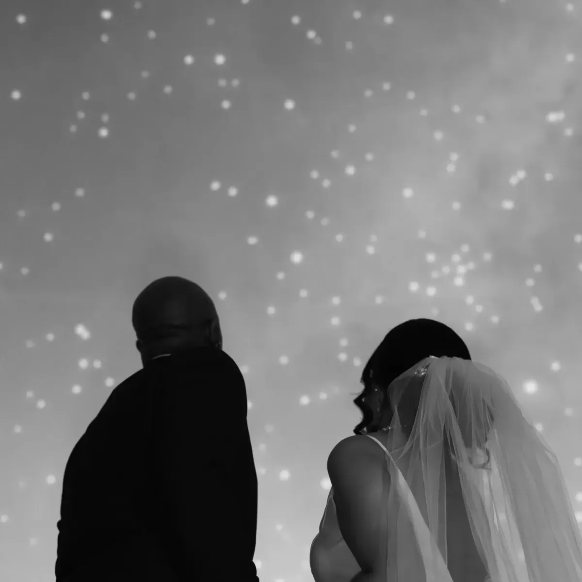 wedding couple looking at the night sky by hailey rose photography