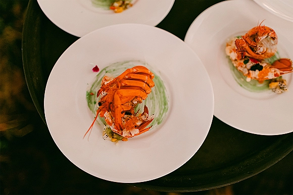 Wedding reception food with a wedding plated dinner of lobster tail and green puree garnish on a white plate against a dark table surface
