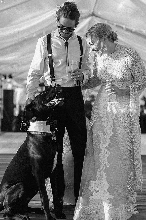 Wedding couple with dog raising champagne flutes, bride in lace dress and groom in suspenders as the dog wears a bow tie under tent drapery
