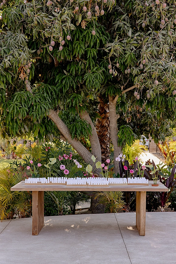 Escort card display with wedding seating cards lined on a wooden table, framed by bud vases and floral arrangements under a tree canopy