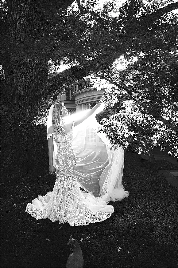 Bridal portrait in black and white of a bride in an off-the-shoulder lace gown holding a long veil beneath a large garden tree