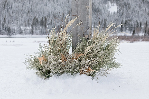 Winter ceremony florals with evergreen branches and frosted greenery, dried grasses on a wooden post beside snowy trees and mountain slope