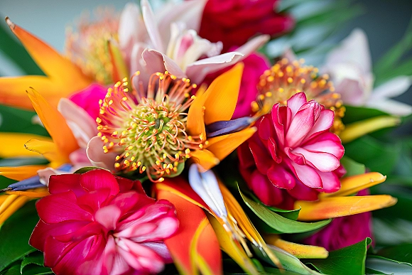 Tropical wedding bouquet with bird of paradise and pincushion protea, hot pink blooms and greenery against soft blurred greenery background