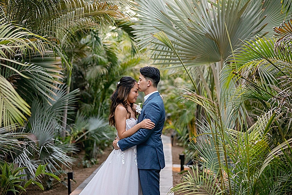 Couple portrait of a wedding couple embracing as the groom kisses the bride’s forehead, in tropical greenery with palm leaves on a garden path
