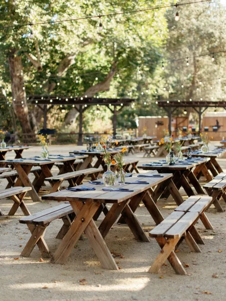 Outdoor reception setup with long picnic tables, wooden benches, and blue napkins under string lights in a sunlit tree grove