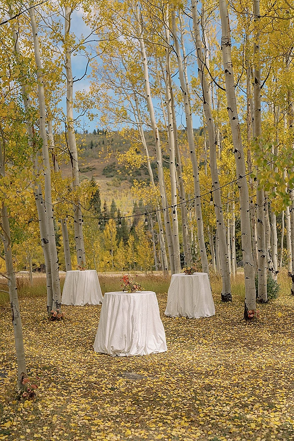 Outdoor cocktail hour setup with wedding cocktail hour tables in white linens, small floral centerpieces and string lights in an aspen grove meadow