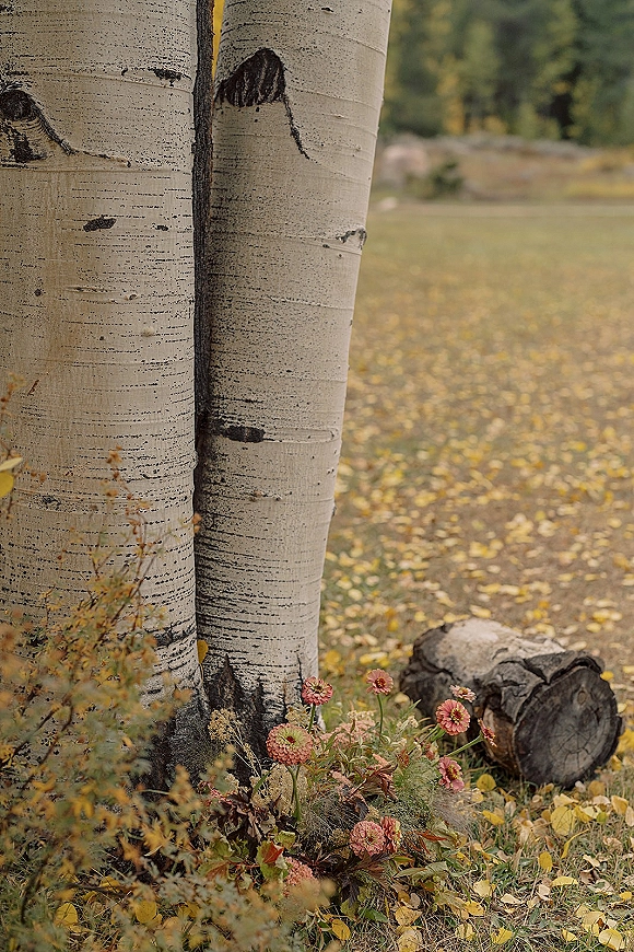 Floral ground arrangement with pink blooms and greenery resting by tree trunks on a grassy woodland field with fallen leaves