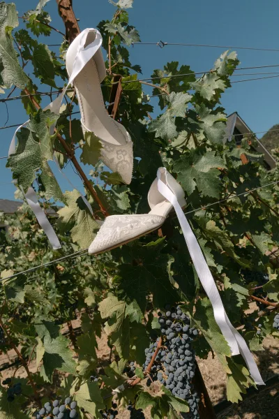 Bridal shoes, lace bridal flats, rest on a vineyard trellis amid grapevines and grape clusters under a clear blue sky