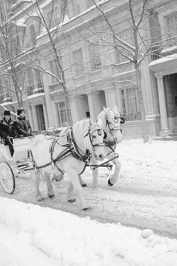 Horse drawn carriage with white horses and a driver on a snowy winter street, harness and reins visible before a columned building facade