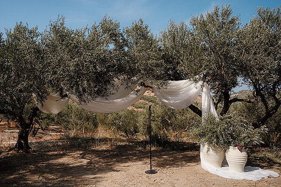 Wedding ceremony backdrop with white drapery canopy, microphone stand, and olive branch pots under olive trees in a rustic orchard setting
