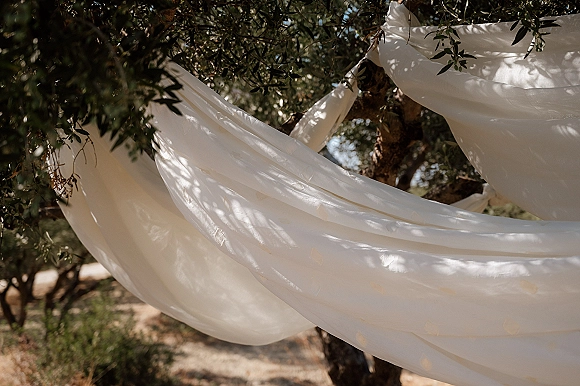 Ceremony drapery with white fabric draping hanging from tree branches, creating a light, sunlit outdoor garden wedding backdrop