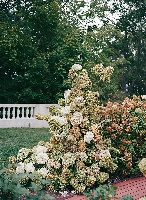 Wedding floral installation with hydrangea wedding flowers lining a brick walkway, set on a garden lawn with trees and a white balustrade