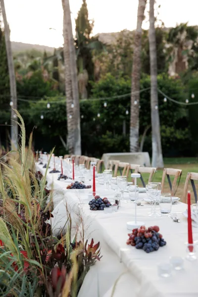 Reception tablescape with a long banquet table wedding setup, white tablecloth, red taper candles, grapes, succulents, and string lights under palm trees