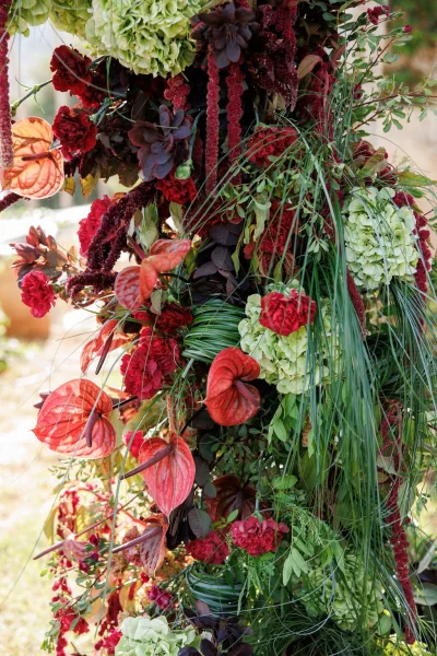 Wedding floral installation with burgundy and red blooms, hydrangeas, anthurium, and hanging amaranthus against blurred outdoor foliage