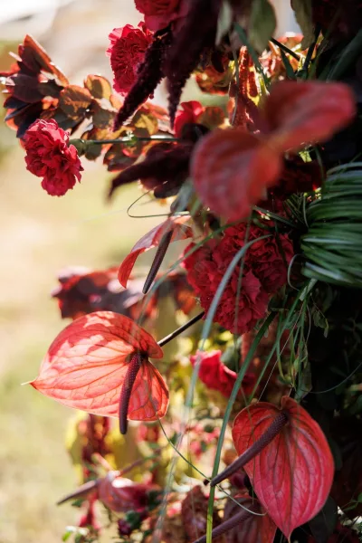 Wedding floral arrangement with anthurium wedding flowers, bold red blooms and lush greenery on a sunlit outdoor lawn backdrop