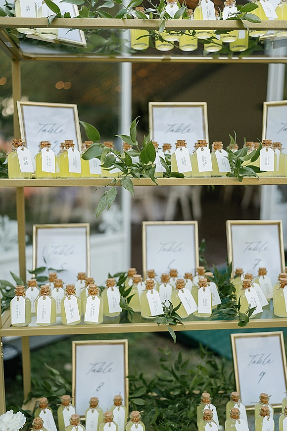 Escort card display with bottle escort cards in mini glass bottles with corks and name tags on gold shelves, greenery garland, outdoor lawn backdrop