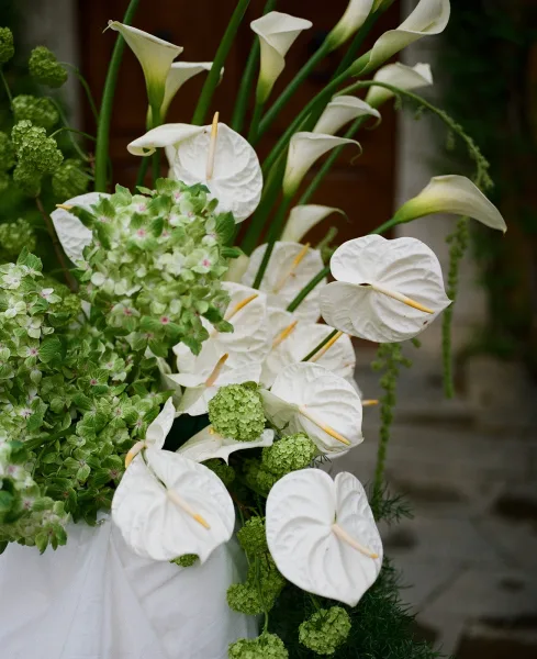 Wedding bouquet of white calla lilies with anthurium and hydrangea, wrapped in white ribbon, resting on stone steps by a wooden door