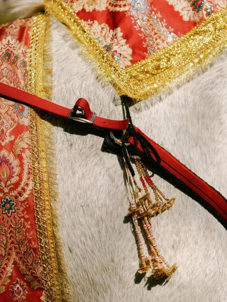 Wedding horse decor with an ornate saddle blanket in red and gold brocade, trimmed with gold fringe against a gleaming white horse coat.