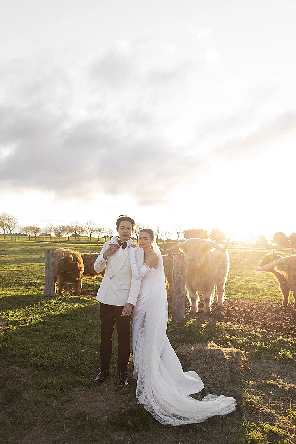 Couple portrait of bride in veil and lace train holding groom’s lapel in a white tuxedo jacket, with cows in a sunset pasture
