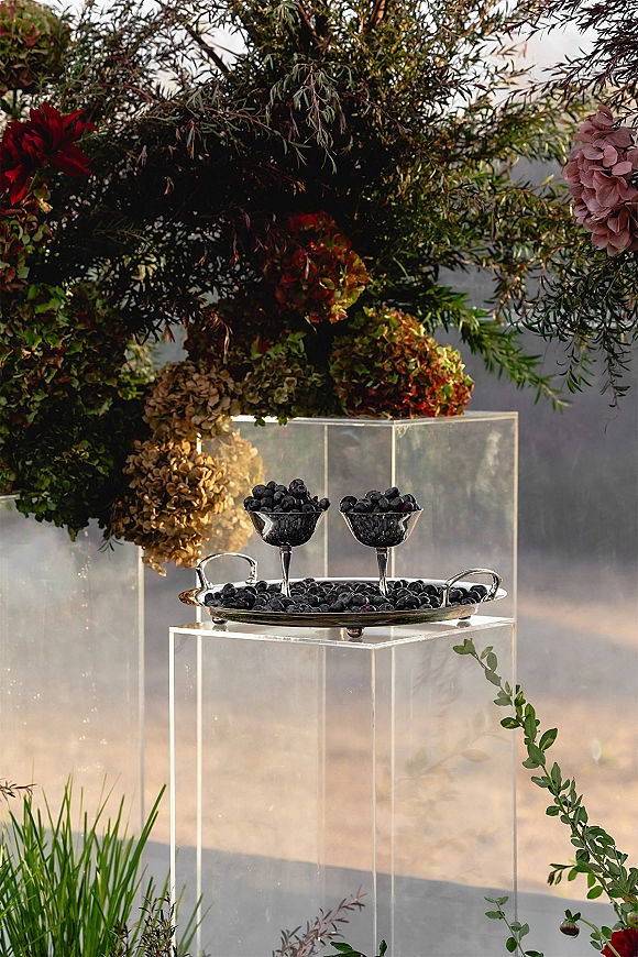 Wedding cocktail display on an acrylic pedestal display with coupe glasses and grapes on a silver tray beneath hanging garden florals