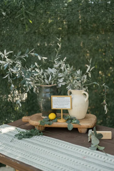Wedding food signage on a gold stand with a charcuterie table sign, ceramic urns, olive branches, and lemon on a wooden table by a hedge wall
