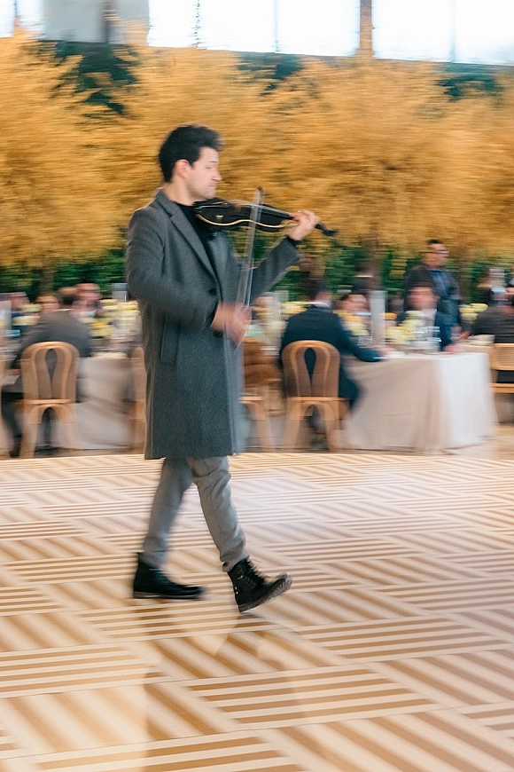 Wedding musician plays violin with bow in a suit, walking past round reception tables and guests by a greenery hedge wall on a patterned dance floor