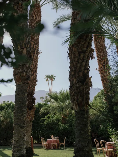 Outdoor reception setup with round tables and linen tablecloths, bentwood chairs on a lawn among palm trees with mountains beyond