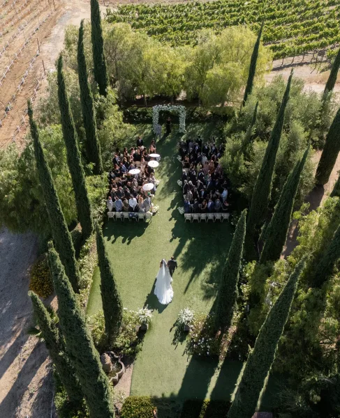 Ceremony processional with the bride walking down the aisle, her bridal veil flowing, framed by vineyard rows and cypress trees on a garden lawn.