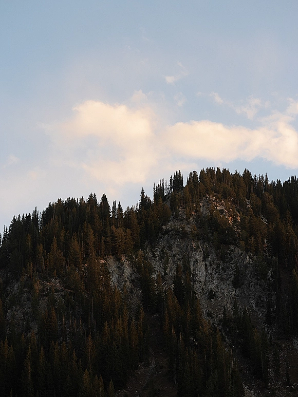 Mountain landscape with pine forest hillside rising to a rocky mountain ridge, framed by evergreen silhouettes under soft clouds and sky