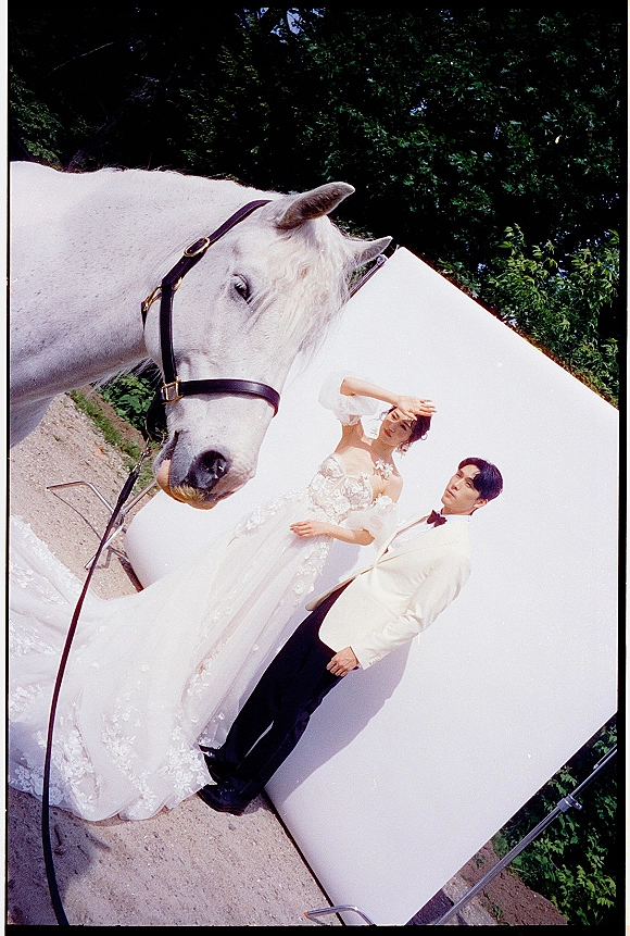 Couple portrait of bride and groom with horse, bride in veil and floral appliqué gown shading her eyes before a white backdrop outdoors