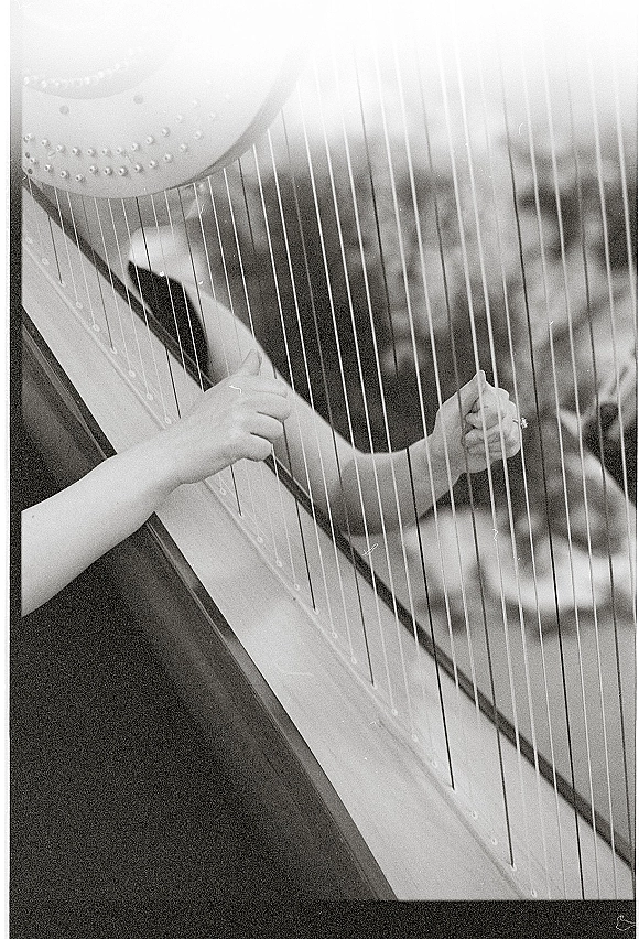 Wedding harpist playing a harp, wedding ring visible on hand, with seated guests in the ceremony crowd behind in black and white