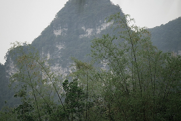 Mountain landscape with misty mountain scenery, forest trees and sheer cliffs fading into a moody overcast sky