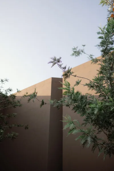 Outdoor wedding venue with wedding venue exterior stucco walls, tree branches and foliage accents, and open sky above