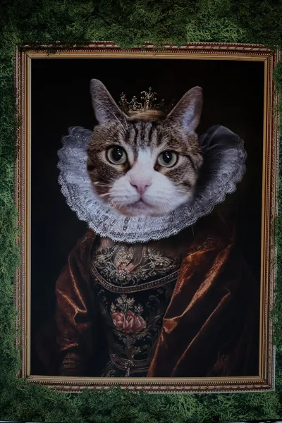 Pet portrait of a cat royal portrait wearing a crown and lace ruff collar in an ornate gold frame against a dark backdrop