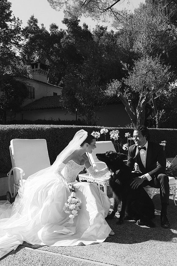 Couple portrait in a black and white wedding portrait, bride and groom with dog on lounge chairs, veil and bouquet in garden by hedges