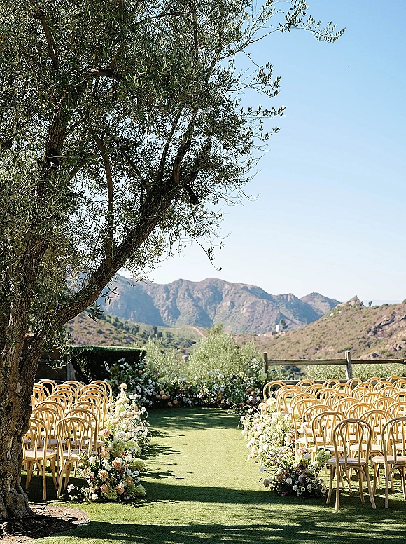 Ceremony aisle decor with an outdoor ceremony aisle of bentwood chairs, floral ground arrangements, and grass runner by olive tree and mountains