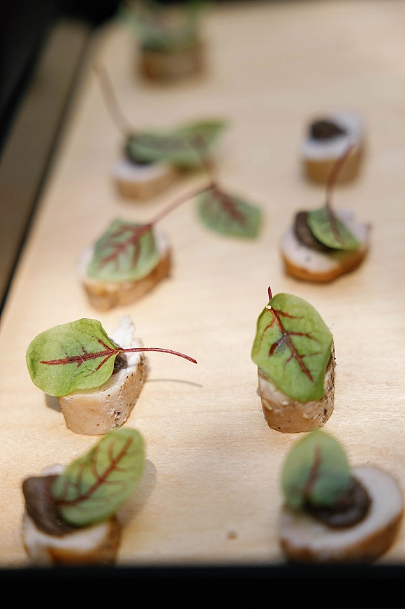 Wedding cocktail appetizers and passed hors doeuvres arranged on a wood serving board with gourmet crostini, cheese spread, mushrooms, and microgreens