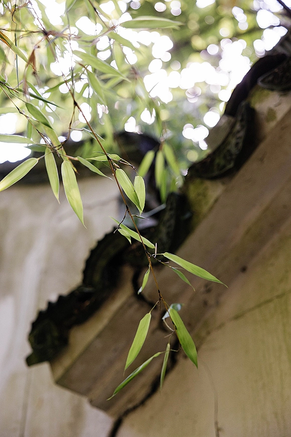 Greenery detail with hanging greenery wedding leaves draped from branches, softly backlit by sunlight with bokeh light spots near a tree trunk